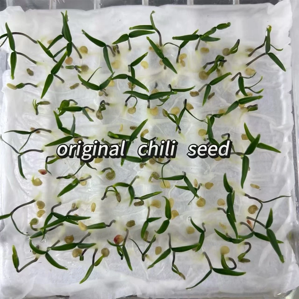 Chili Seed Pelleting Machine best Chili Seed Pelleting Machine best