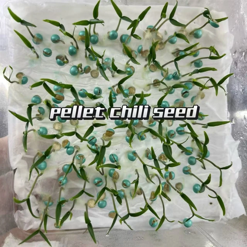 Chili Seed Pelleting Machine suppliers Chili Seed Pelleting Machine suppliers