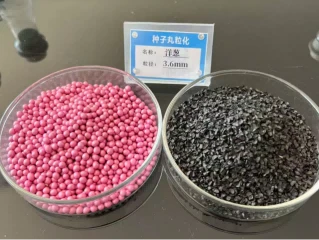 31 31