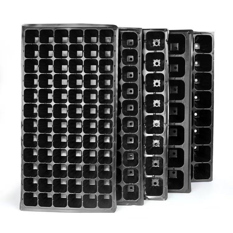 173ed080e99206d5120f2db51536e6fd 173ed080e99206d5120f2db51536e6fd